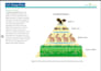 create vector based drawings based on your photos